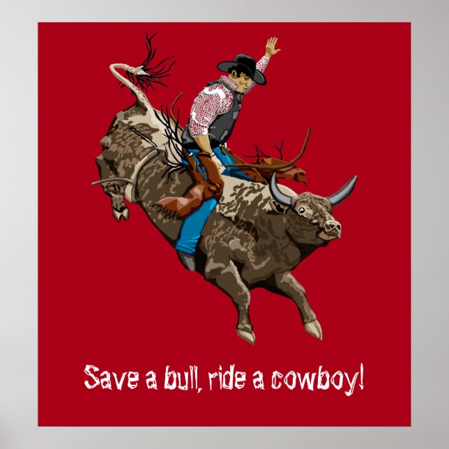Bull rider poster (Front)