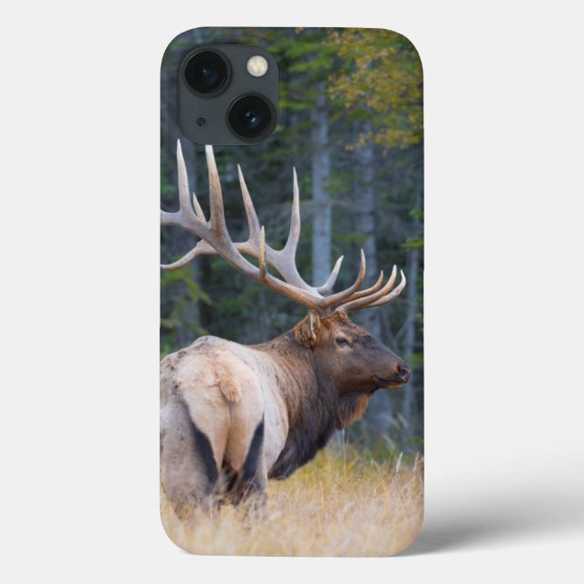 Bull Rocky Mountain Elk Case-Mate iPhone Case (Back)