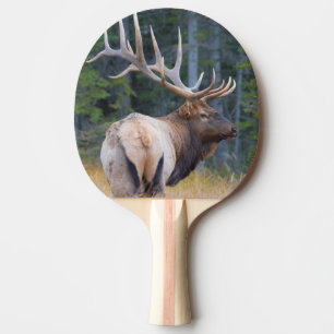 Bull Rocky Mountain Elk Ping Pong Paddle