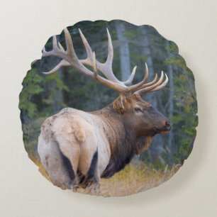 Bull Rocky Mountain Elk Round Cushion
