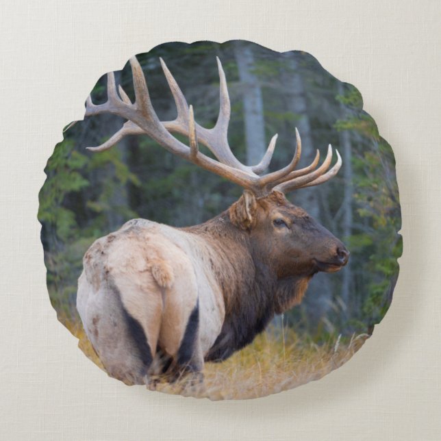Bull Rocky Mountain Elk Round Cushion (Front)