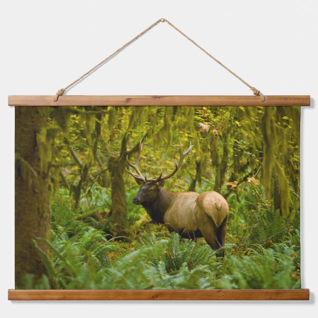 Bull Roosevelt Elk Hanging Tapestry (Front)