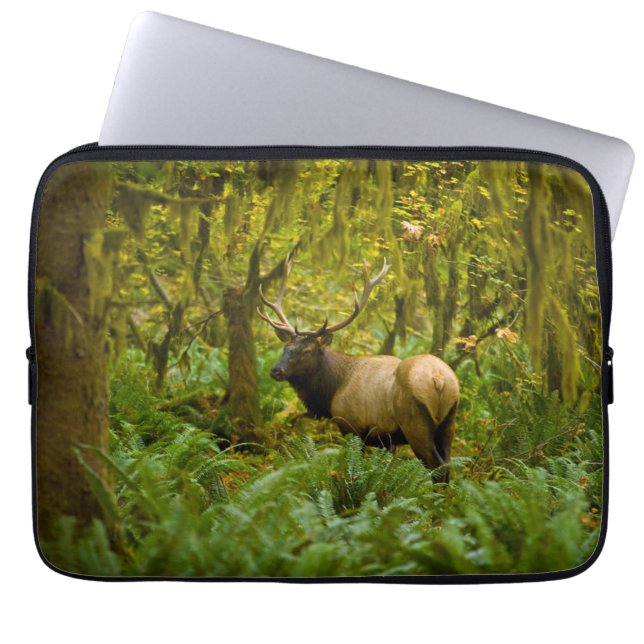 Bull Roosevelt Elk Laptop Sleeve (Front)