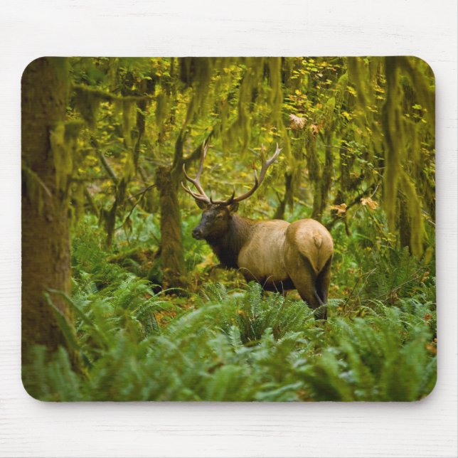 Bull Roosevelt Elk Mouse Pad (Front)
