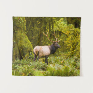 Bull Roosevelt Elk Standing In Meadow Tapestry