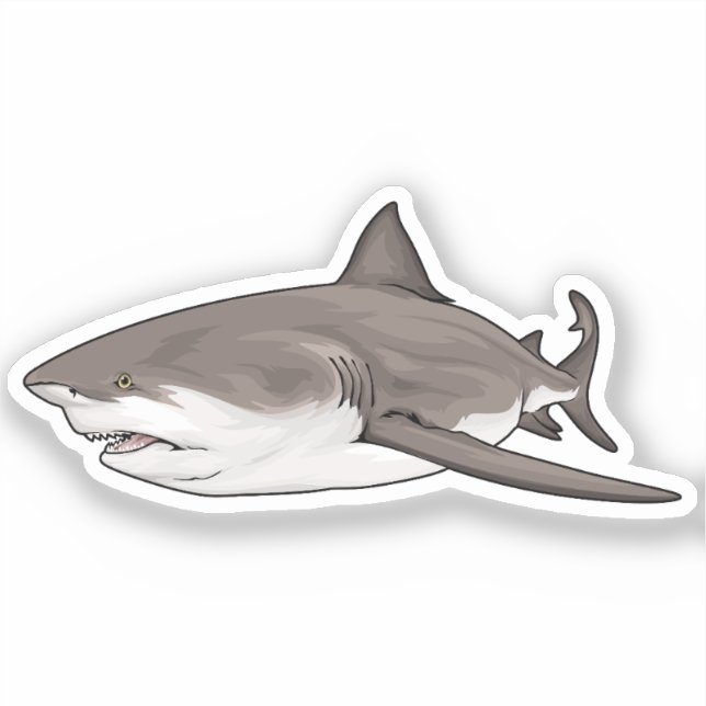 Bull Shark A (Front)