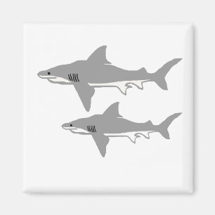 Bull shark magnet