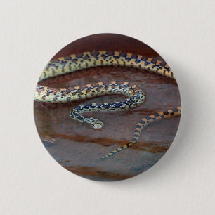 Bull Snake 6 Cm Round Badge