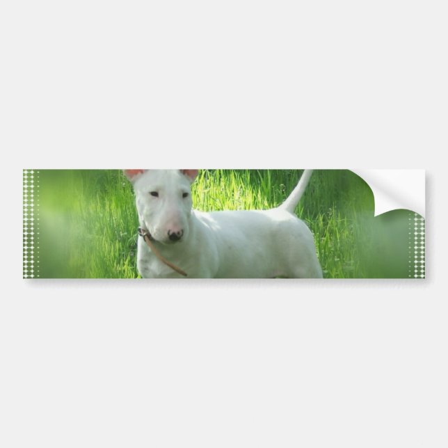 Bull Terrier Bumper Sticker (Front)