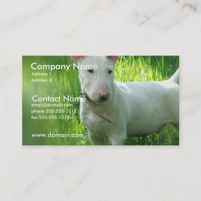 Bull Terrier Business Card (Front)