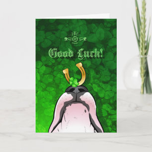 Bull Terrier Cartoon Greeting Card "Good Luck"