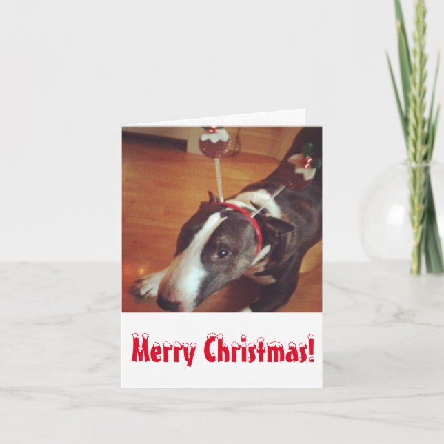 Bull Terrier Christmas Card (Front)