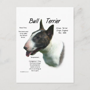 Bull Terrier (coloured) History Design Postcard