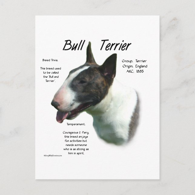 Bull Terrier (coloured) History Design Postcard (Front)