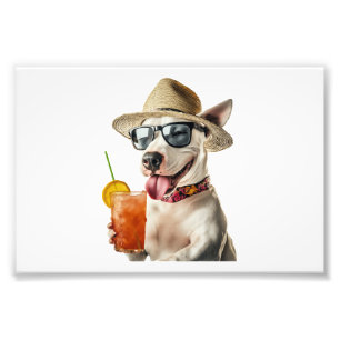 Bull Terrier Copy Photo Print