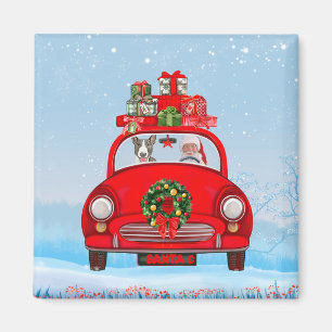 Bull Terrier Dog In Car With Santa Claus Magnet