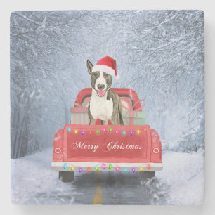 Bull Terrier Dog in Snow sitting in Christmas  Stone Coaster