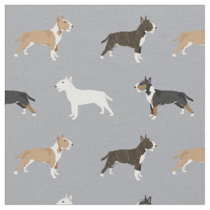 bull terrier dogs dog coats grey fabric