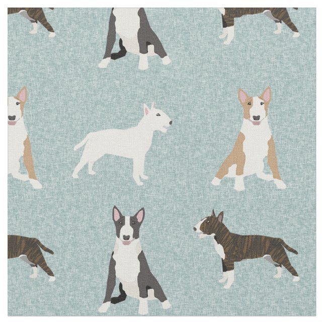 bull terrier dogs light blue fabric (Close Up)