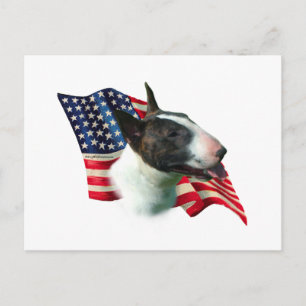 Bull Terrier Flag Postcard