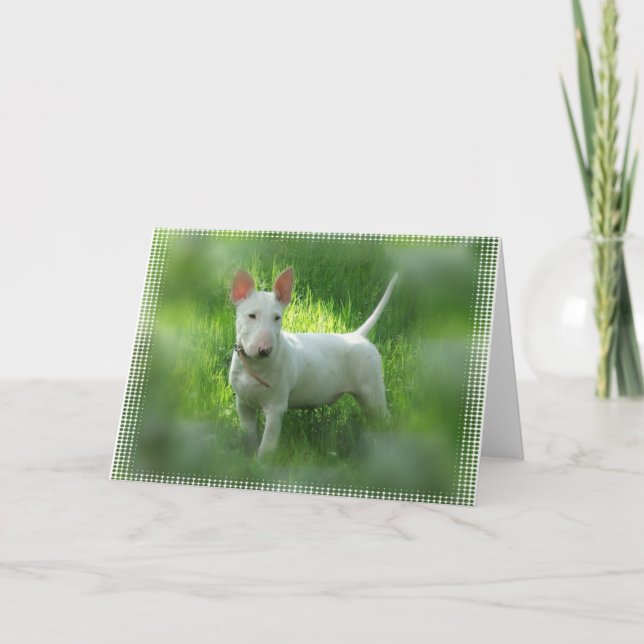 Bull Terrier Greeting Card (Front)