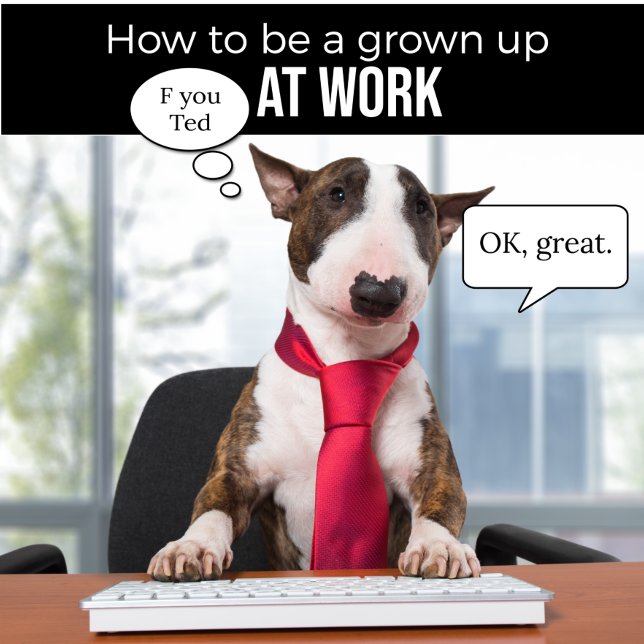Bull Terrier How to Be a Grown Up T-Shirt (Creator Uploaded)