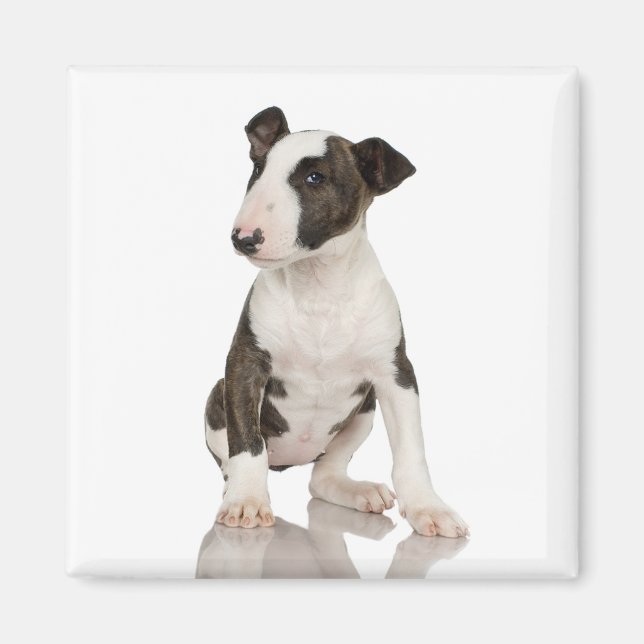 Bull Terrier Magnet (Front)