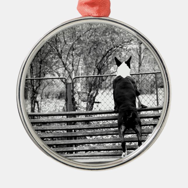 Bull terrier metal tree decoration (Front)