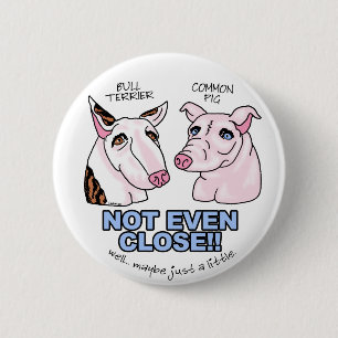 Bull Terrier NOT A Pig 6 Cm Round Badge