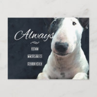 Bull Terrier Postcard "Always by your side"