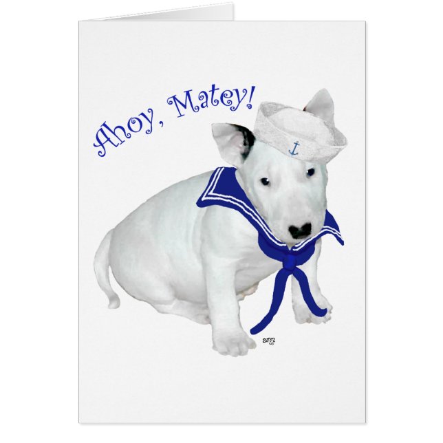 Bull Terrier Puppy Sailor (Front)