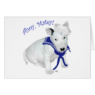 Bull Terrier Puppy Sailor