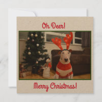 Bull Terrier Reindeer Christmas Funny