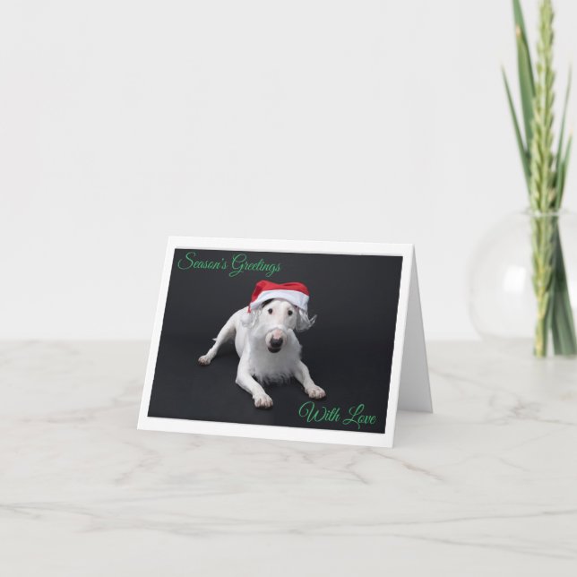 Bull Terrier Santa Christmas Folded Greeting Card (Front)