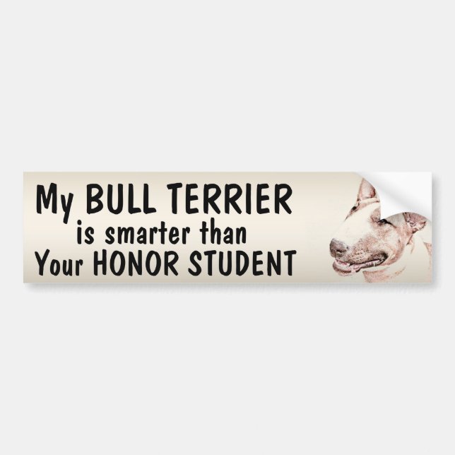 Bull Terrier - Smarter than student - funny Bumper Sticker (Front)