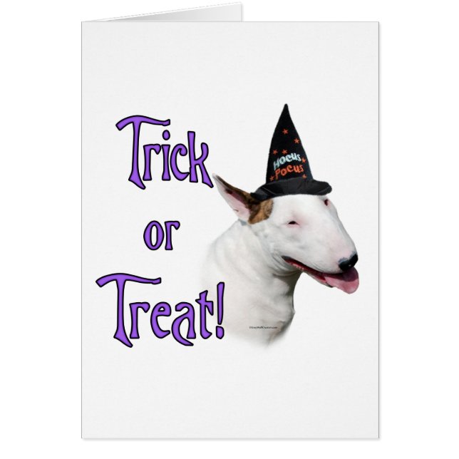 Bull Terrier Trick (Front)