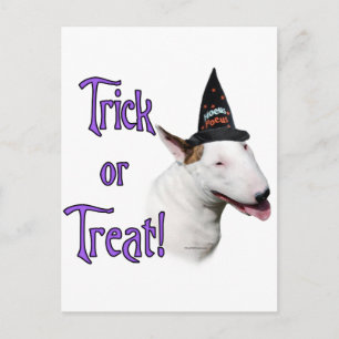Bull Terrier Trick Postcard