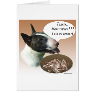 Bull Terrier Turkey