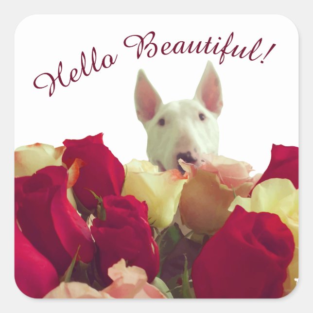 Bull terrier with roses greeting - Hello Beautiful Square Sticker (Front)