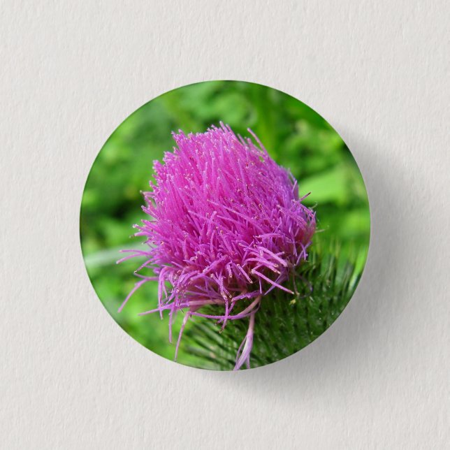 Bull Thistle Button (Front)
