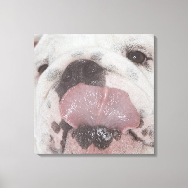Bulldog 2 canvas print (Front)