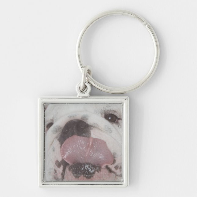 Bulldog 2 key ring (Front)
