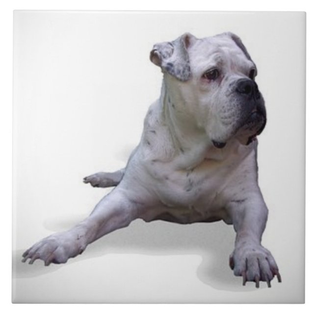BULLDOG 2, Pet Love, Best Friend KEEPSAKE Tile (Front)