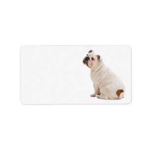 Bulldog Address Label