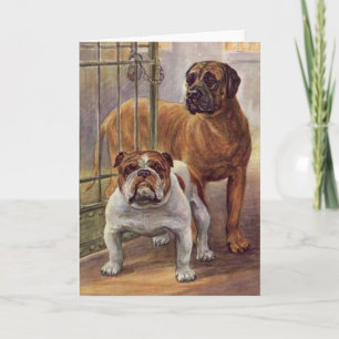 Bulldog and Mastiff  Vintage Greeting Card