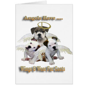 Bulldog Angels Have Wings & Fur Coats