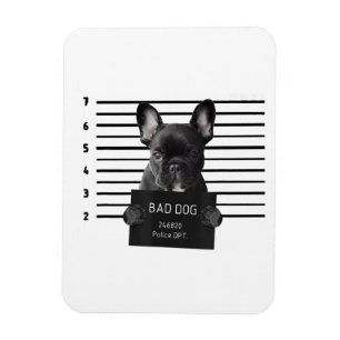 Bulldog Bad Dog Jail Frenchie Dog Mum Lover Magnet