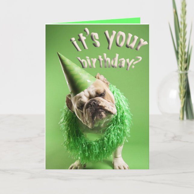 bulldog birthday card (Front)