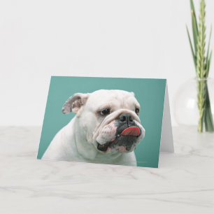 Bulldog Card