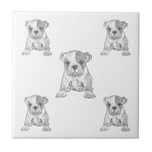  Bulldog Chequerboard Pencil  Tile